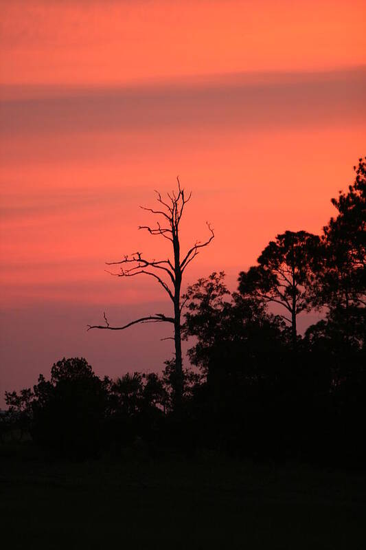 Sunset Poster featuring the photograph Sunset by Walt Reece