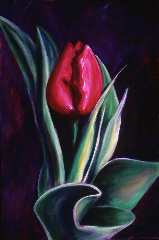 Tulip Poster featuring the painting Susannah by Shannon Grissom