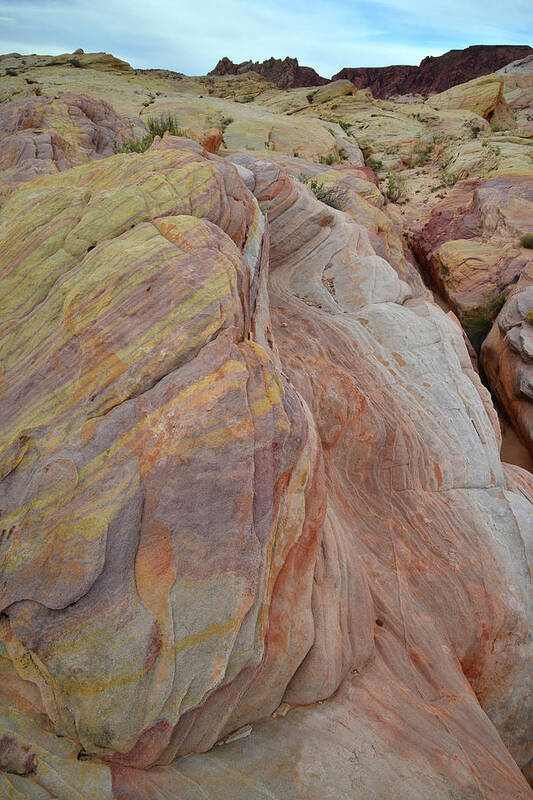 Valley Of Fire State Park Poster featuring the photograph Swirling Colors in Valley of Fire Sandstone by Ray Mathis