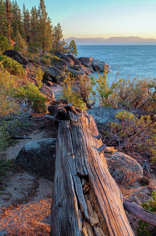 Lake Tahoe Poster featuring the photograph Tahoe In Late Summer by Jonathan Nguyen