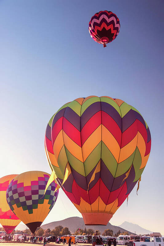 2017 Poster featuring the photograph Take Off by Marnie Patchett