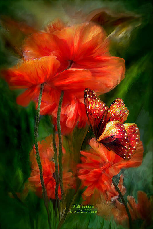 Poppy Poster featuring the mixed media Tall Poppies by Carol Cavalaris