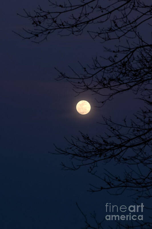 Full Poster featuring the photograph Texas Full Moon 3 by Jeanette Fiveash