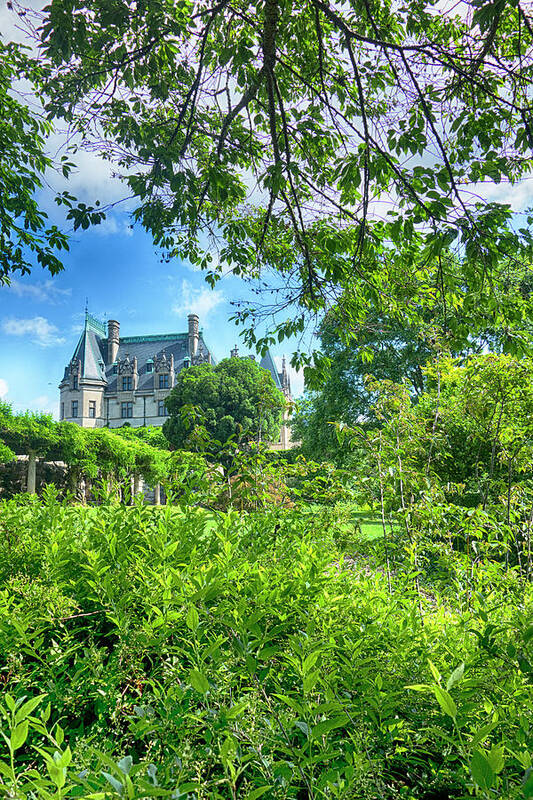 Garden Poster featuring the photograph The Biltmore Estate Y6742 by Carlos Diaz