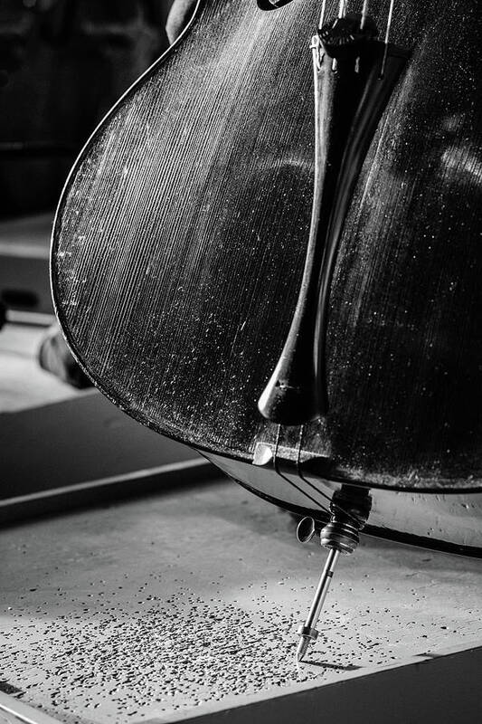 Cello Poster featuring the photograph Cello Endpin by Marco Oliveira