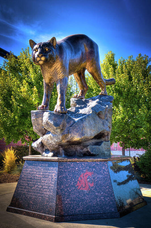 The Cougar Pride Sculpture Poster featuring the photograph The Cougar Pride Sculpture by David Patterson