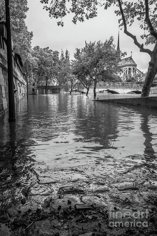 Black And White Poster featuring the photograph The Edge of a Flooded Walkway in Paris, Blk Wht by Liesl Walsh