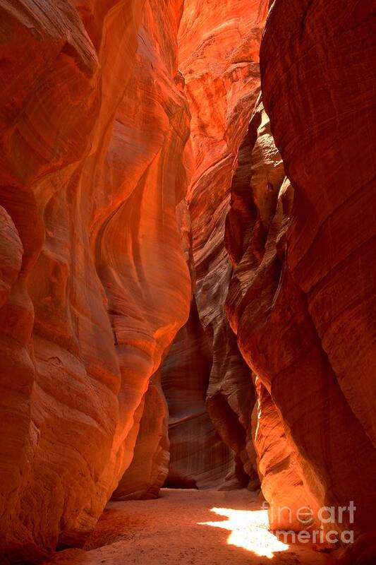 Slot Canyon Poster featuring the photograph The Giant Room by Adam Jewell