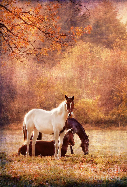 Horse Poster featuring the photograph The Guardians by Darren Fisher