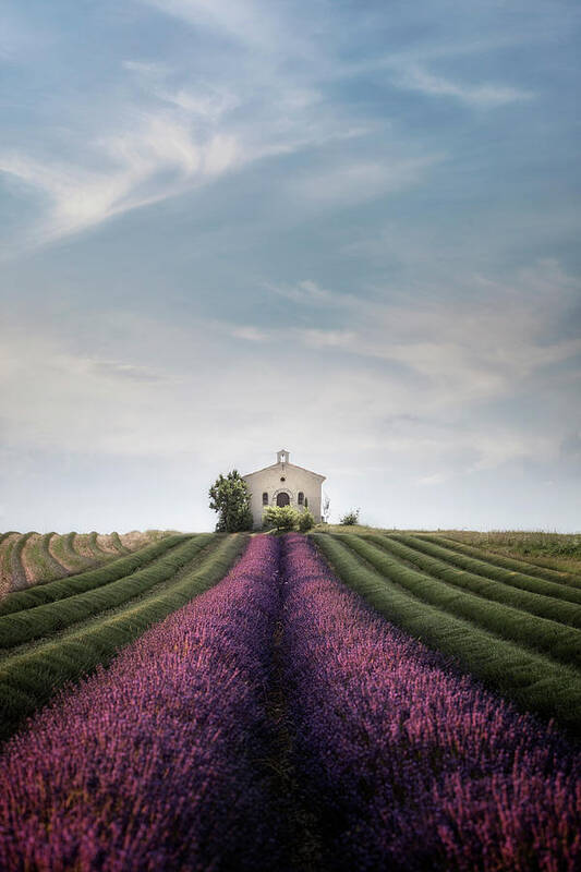 Provence Poster featuring the photograph The lavender chapel by Joana Kruse