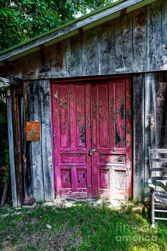 Barn Poster featuring the photograph The Magenta Doors by Paul Mashburn