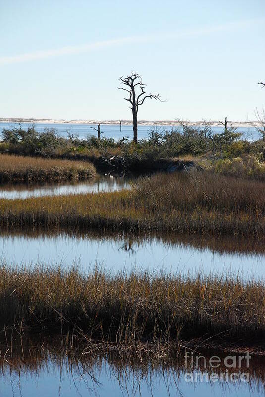 Nature Photography Poster featuring the photograph The Marsh by Renee Holder