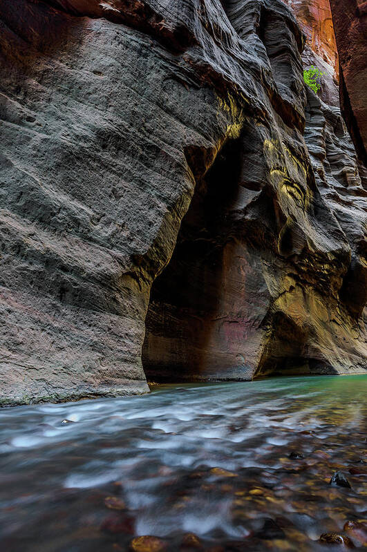 Landscape Poster featuring the photograph Dark Passage #1 by Chuck Jason