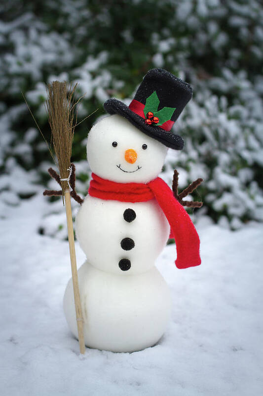 Broom Poster featuring the photograph The snowman on snowy ground by William Lee