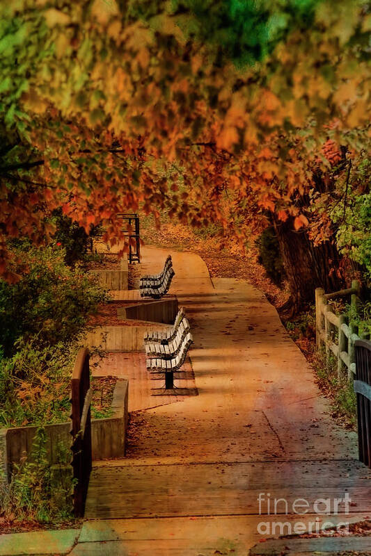 Park Benches Poster featuring the photograph The Sound of Silence by Joan Bertucci