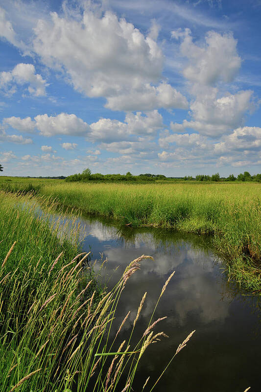 Glacial Park Poster featuring the photograph The Wetlands of Hackmatack National Wildlife Refuge by Ray Mathis