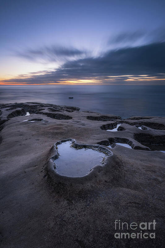 La Jolla Poster featuring the photograph Tide Pool by Michael Ver Sprill