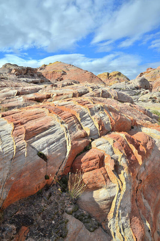 Valley Of Fire State Park Poster featuring the photograph Tiger Stripes in Valley of Fire by Ray Mathis