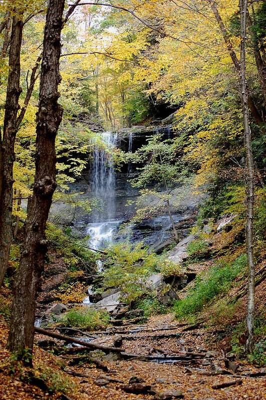 Digital Photograph Poster featuring the photograph Tinker Falls by David Lane
