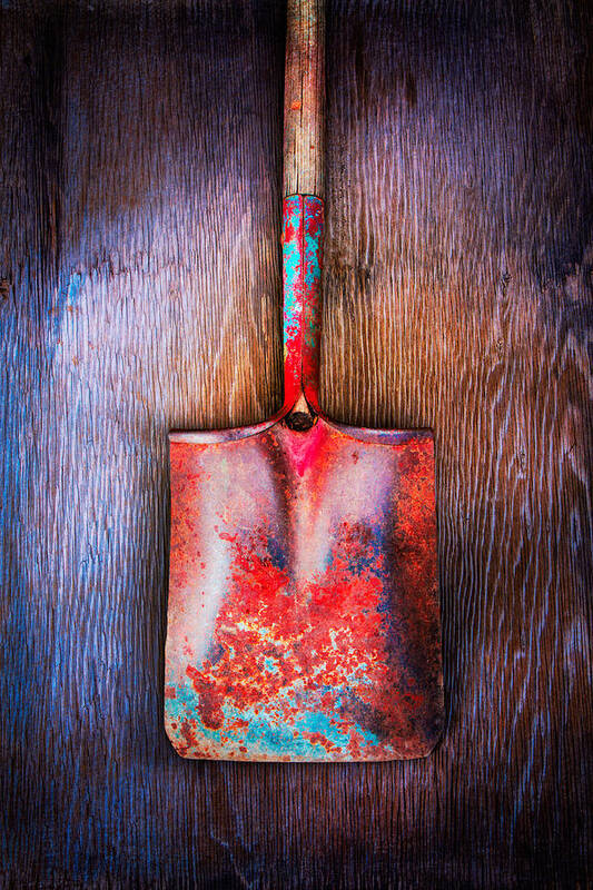 Antique Poster featuring the photograph Tools On Wood 47 by YoPedro