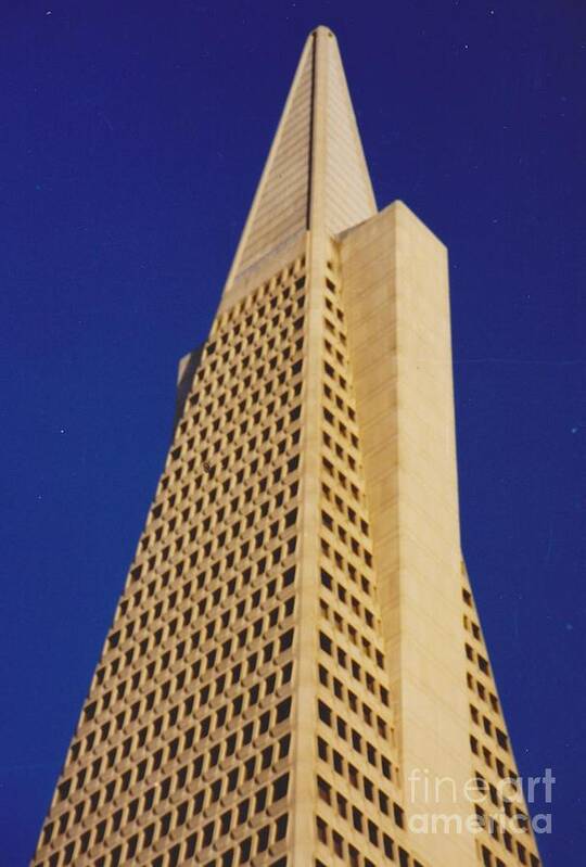 Buildings Poster featuring the photograph Trans America Pyramid San Francisco by Mia Alexander
