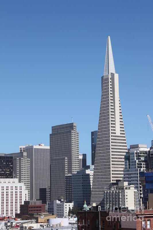 San Francisco Poster featuring the photograph Transamerica Pyramid Building by Henrik Lehnerer