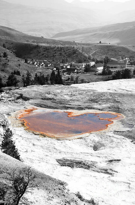 Yellowstone Poster featuring the photograph Travertine Terrace View of Mammoth Hot Springs Village in Yellowstone National Park Color Splash by Shawn O'Brien