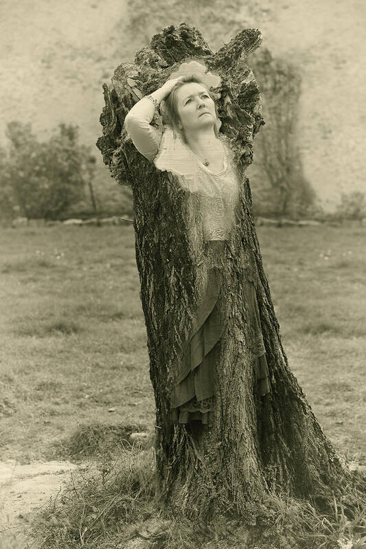 Tree Poster featuring the photograph Tree Spirit by Jean Gill