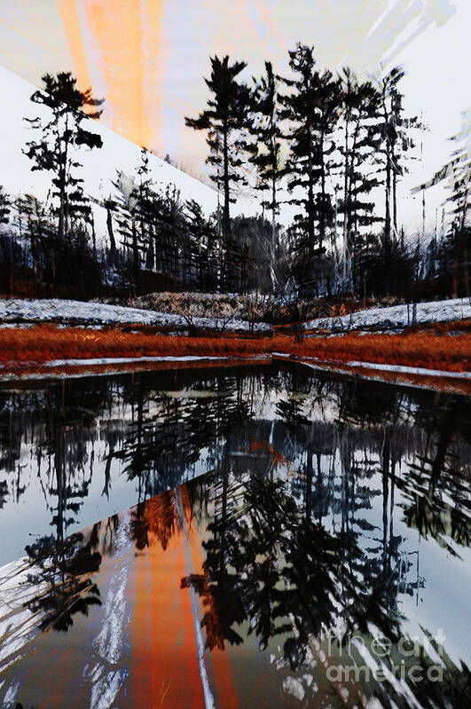 Trees Reflections Poster featuring the photograph Trees Reflections Fall Evening by Elaine Hunter