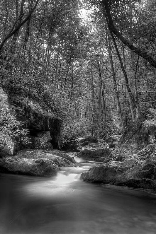 Tennessee Stream Poster featuring the photograph Tribtuary by Mike Eingle
