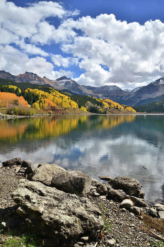 Colorado Poster featuring the photograph Trout Lake in Fall by Ray Mathis