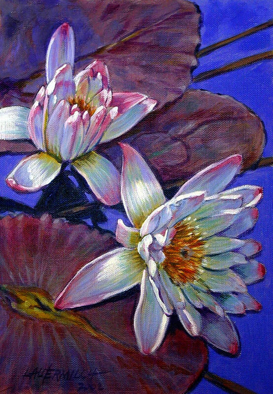 Water Lilies Poster featuring the painting Two Pink Water Lilies by John Lautermilch