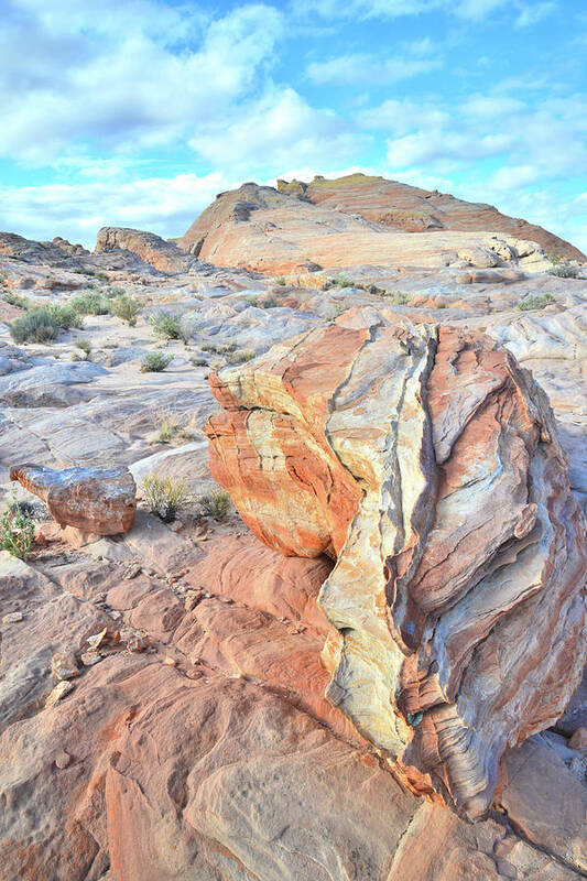Valley Of Fire State Park Poster featuring the photograph Valley of Fire Alien Boulder by Ray Mathis