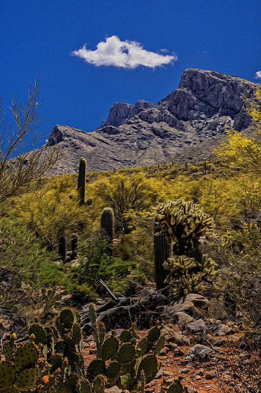 Design Poster featuring the photograph Valley View No.4 by Mark Myhaver
