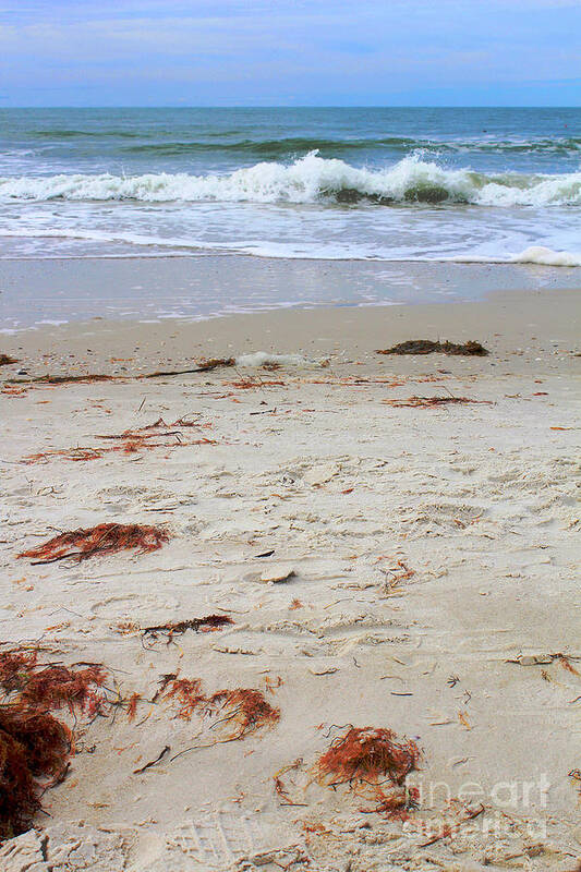 Florida Poster featuring the photograph Vibrant Beach with wave by Jeanne Forsythe