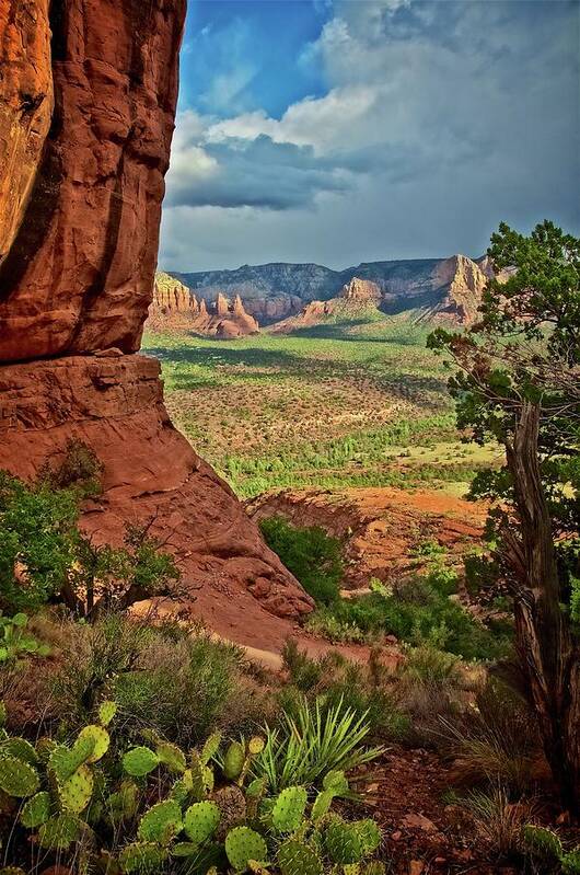 Nature Poster featuring the photograph View From A Vortex, Cathedral Rock, Sedona, Arizona by Zayne Diamond