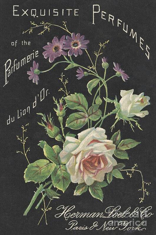 Vintage French Perfume Poster featuring the photograph Vintage French Perfume by Leah McPhail