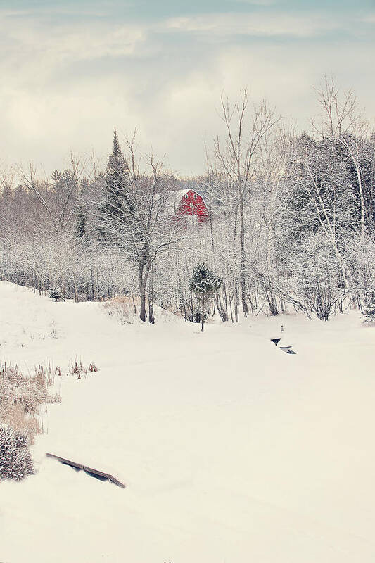 Vintage Winter Scene Print Poster featuring the photograph Vintage Winter Scene Print by Gwen Gibson
