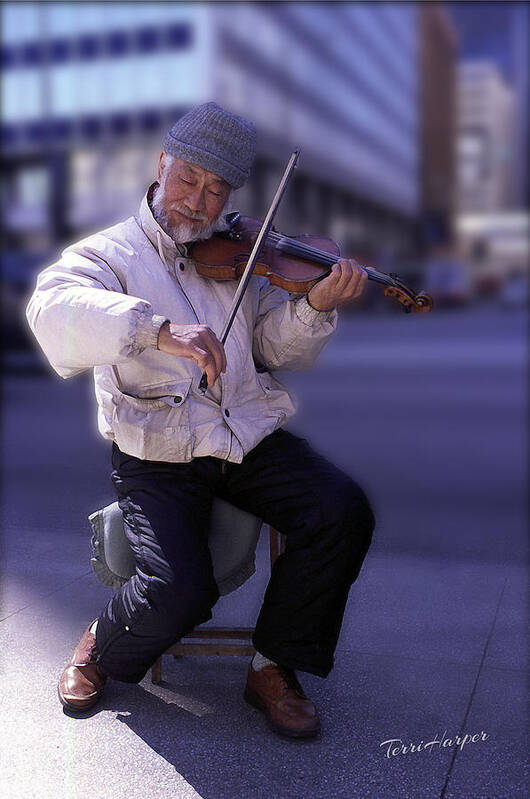 Violin Guy Poster featuring the photograph Violin Guy by Terri Harper