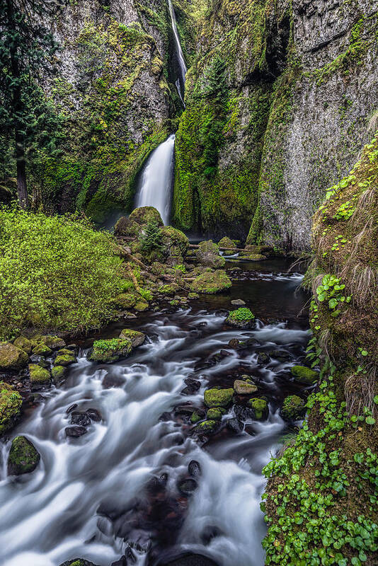 Water Falls Poster featuring the photograph Wahclella Falls by Chuck Jason