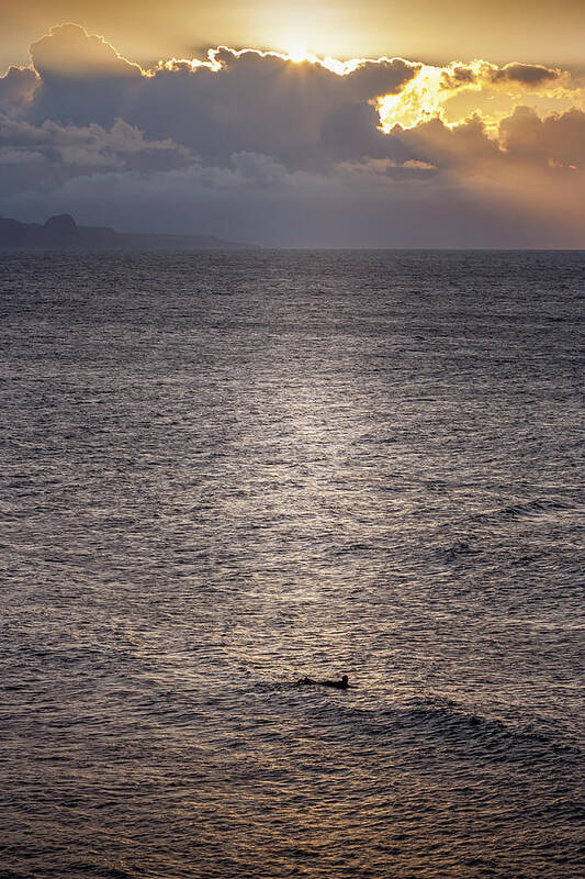 Hawaii Poster featuring the photograph Waiting for the Last Wave of the Day by Daniel Murphy