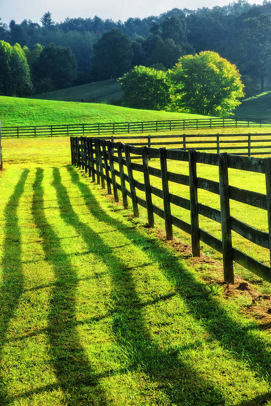 Appalachia Poster featuring the photograph Walk along the Fence Shadows by Debra and Dave Vanderlaan