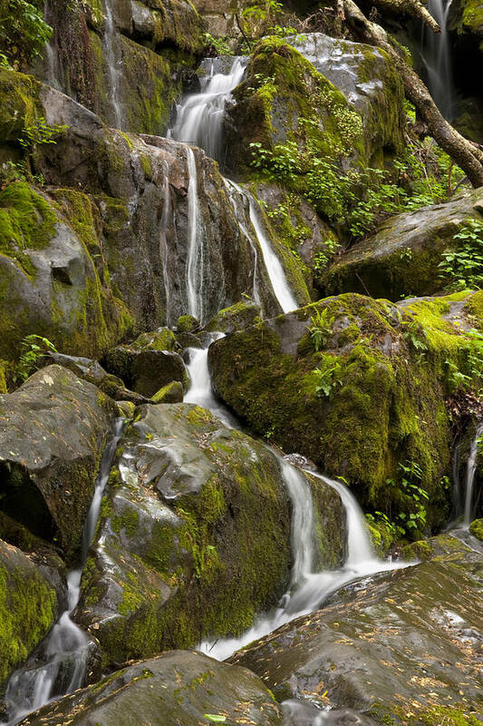 Smokies Poster featuring the photograph Waterfall 8968 by Peter Skiba