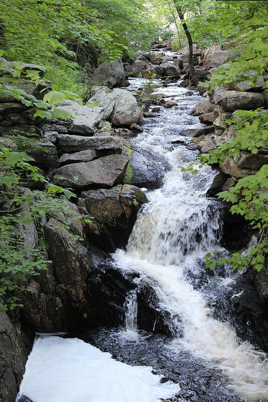 Pillsbury Poster featuring the photograph Waterfall Pillsbury State Park by Samantha Delory