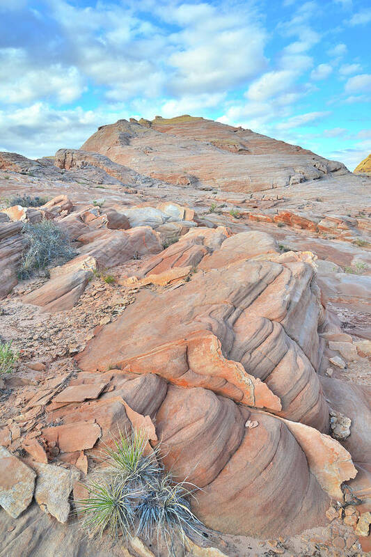 Valley Of Fire State Park Poster featuring the photograph Wave of Sandstone in Valley of Fire by Ray Mathis
