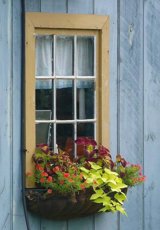 Flowers Poster featuring the photograph Window Flower Basket by Lori Seaman