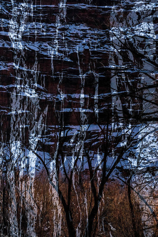 Multiple Exposure Poster featuring the photograph Winter Abstract by Deborah Hughes