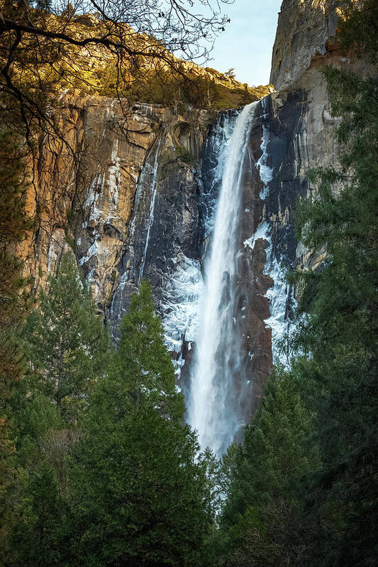 California Poster featuring the photograph Winter at Bridalveil Fall Yosemite California by Adam Rainoff