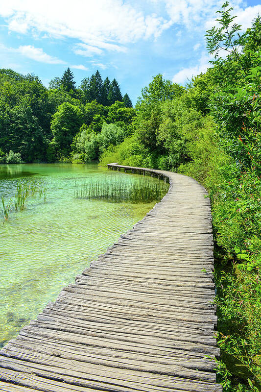 Green Poster featuring the photograph Wooden Path by Brandon Bourdages