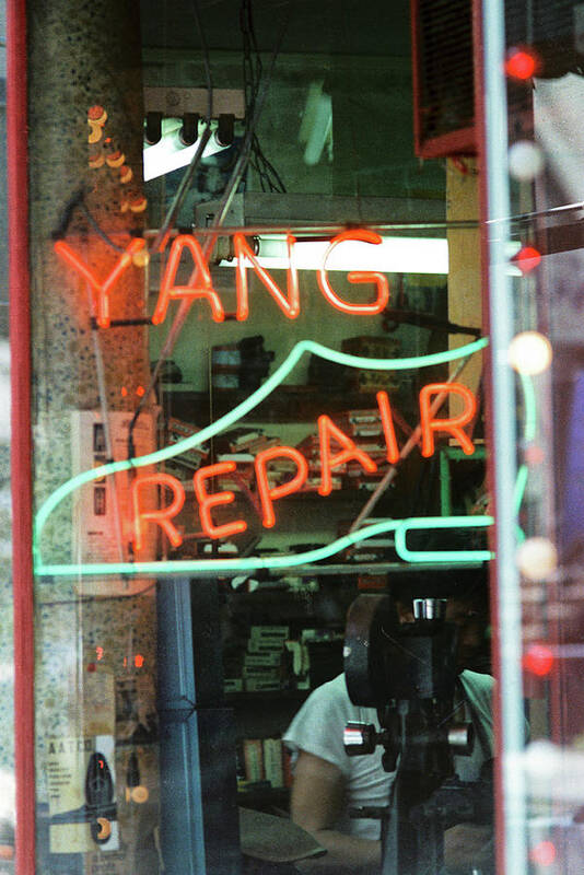 Color Poster featuring the photograph Yang Repair by Frank DiMarco